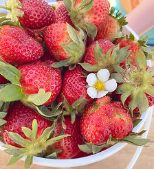 DeLoachFarms2021 (12 of 2).jpg