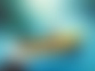 Your Guide to White Water Rafting