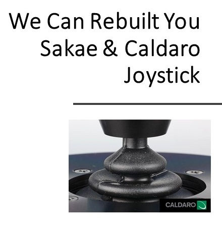 Sakae Caldaro Joystick 2.jpg