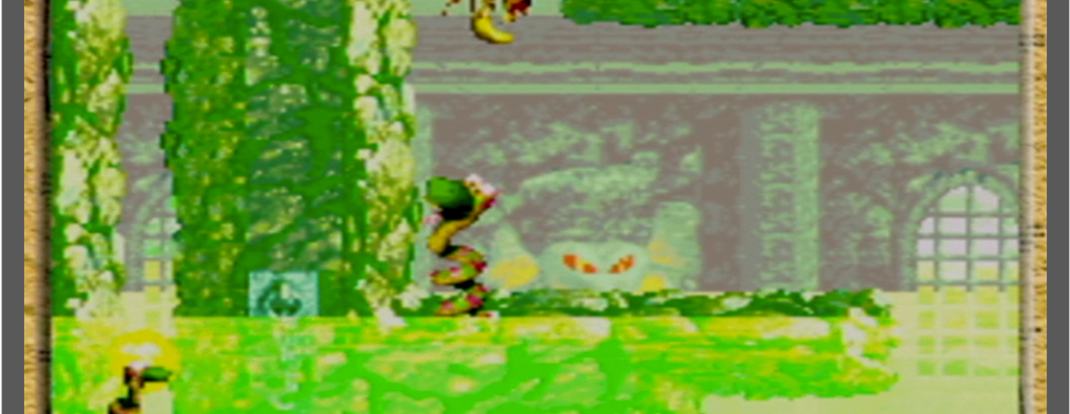 Donkey Kong Country 2 (Game Boy Advance) - ROCKARD Mode