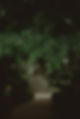 Rain 80.jpg