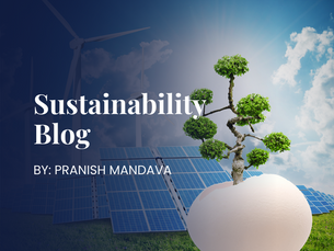 Sustainability Blog