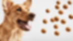 banner-trial