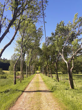 Chateau de la Forge (Dordogne, France) - Drive