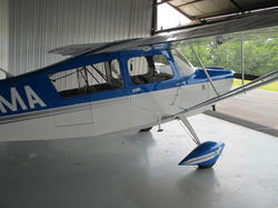 IMG_0074 (Large).jpg