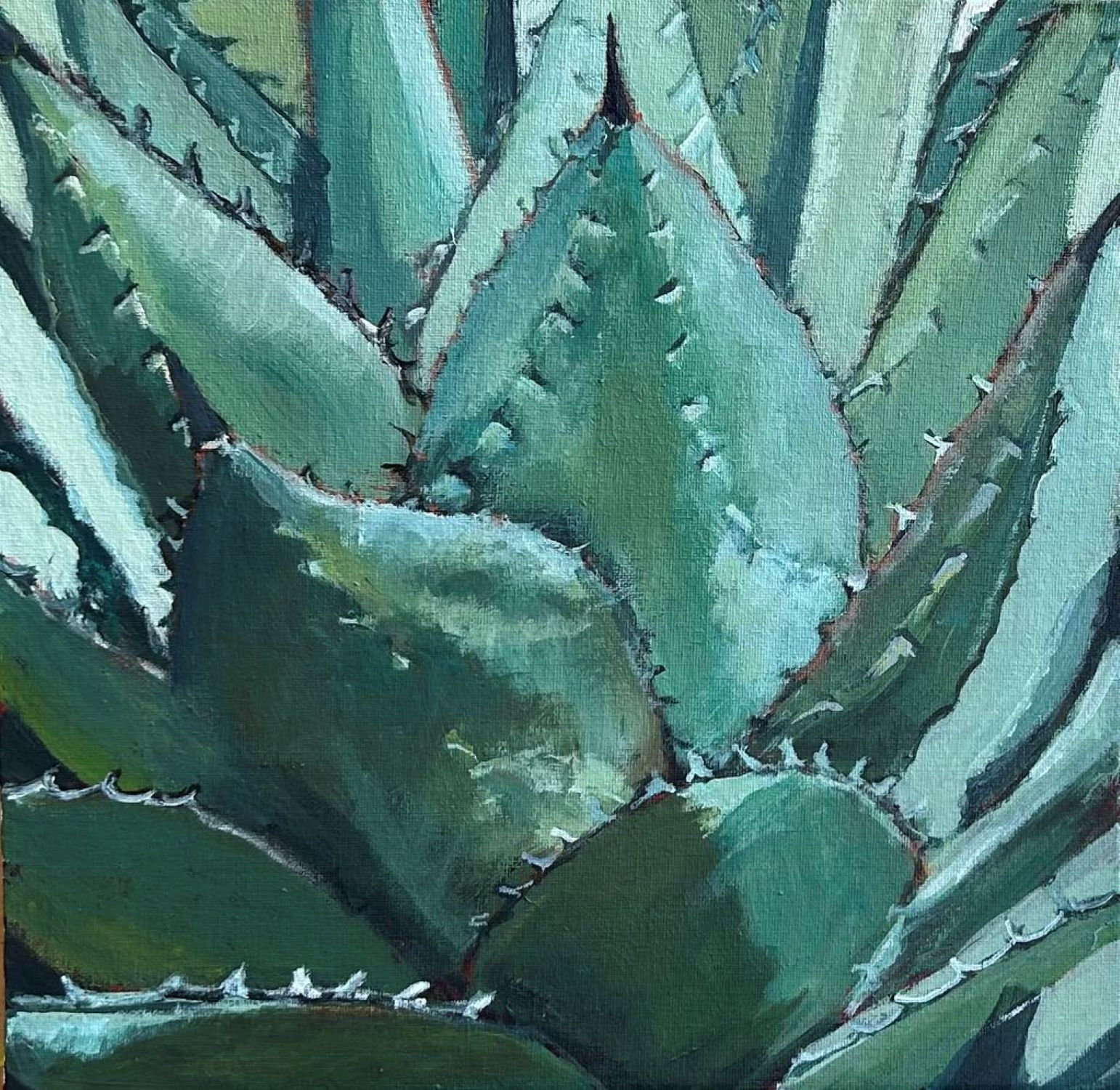 Agave (small)