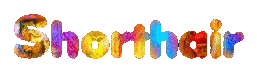 ShorthairColorful.gif