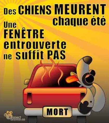 Au Fil Des Saisons Cliniquevetoploeren Au Fil Des Saisons Cliniquevetoploeren