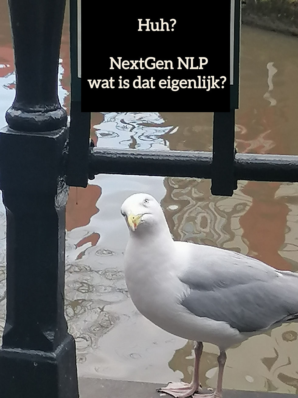 Meeuw kijkt nieuwsgierig omhoog vanaf en kade met de tekst: "Huh? NextGen NLP, wat is dat eigenlijk? - visual met een knipoog naar verwarring en nieuwsgierigheid rond persoonlijke ontwikkeling.