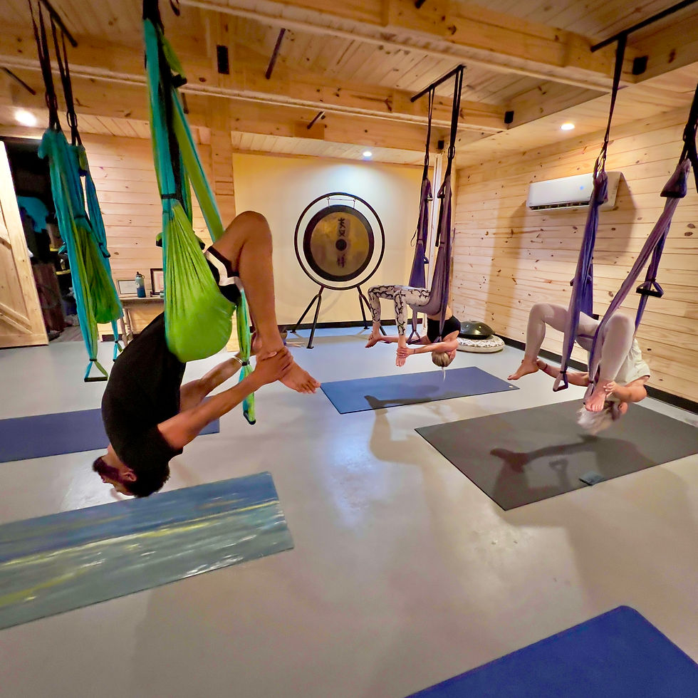 Thumbnail: July 15-19 | 17-19 - Aerial Sling Yoga Teacher Training 30 | 50hr