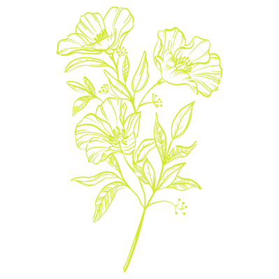 Shop Worldwide Images (2).png