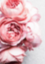 Julia Smith - photography