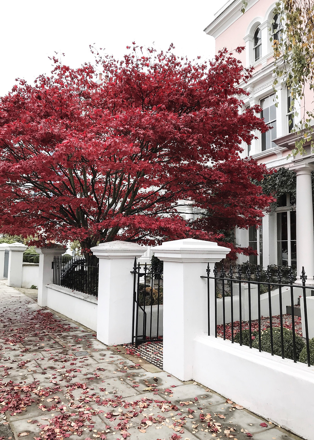 autumn in Notting Hill - photo editing with apps