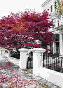 autumn in Notting Hill - photo editing with apps