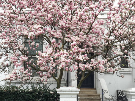 the pretty streets of London