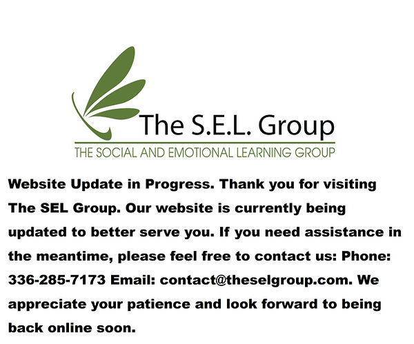 SEL Group Website Update.jpg