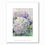 Thumbnail: "Hydrangea Study 4 - small prints"