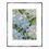 Thumbnail: "Hydrangea Study - 8 - small prints"
