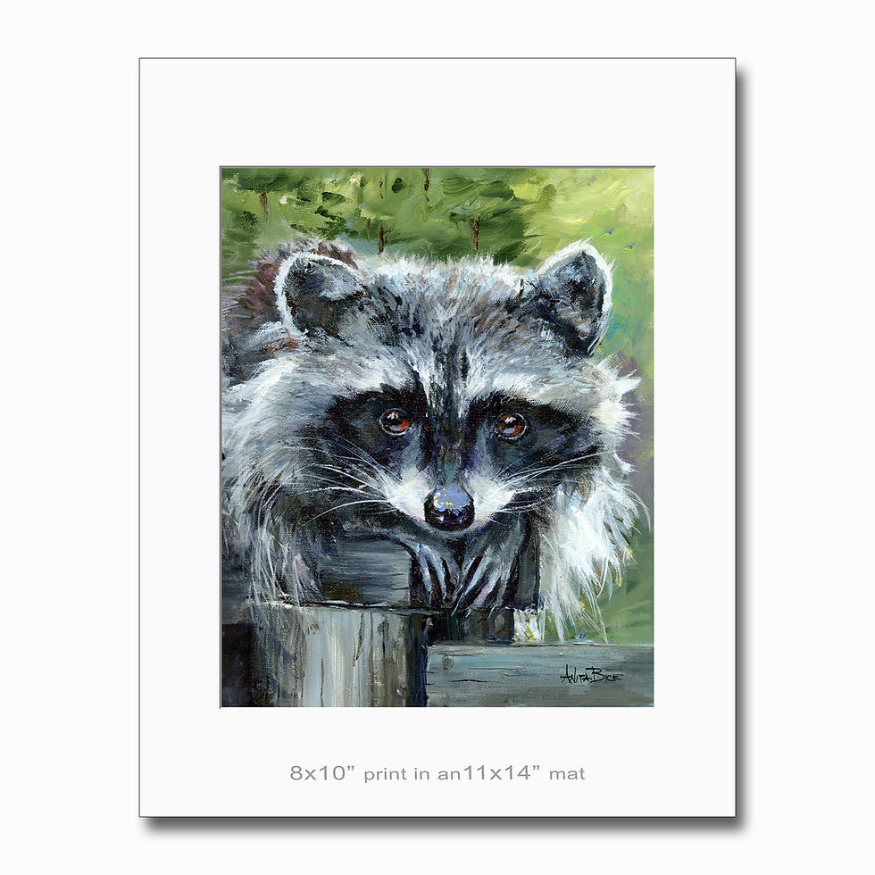 Thumbnail: Robbie, the Raccoon - small prints"