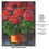 Thumbnail: "Red Geraniums_large prints"