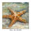 Thumbnail: Sea Creatures - Canvas Prints