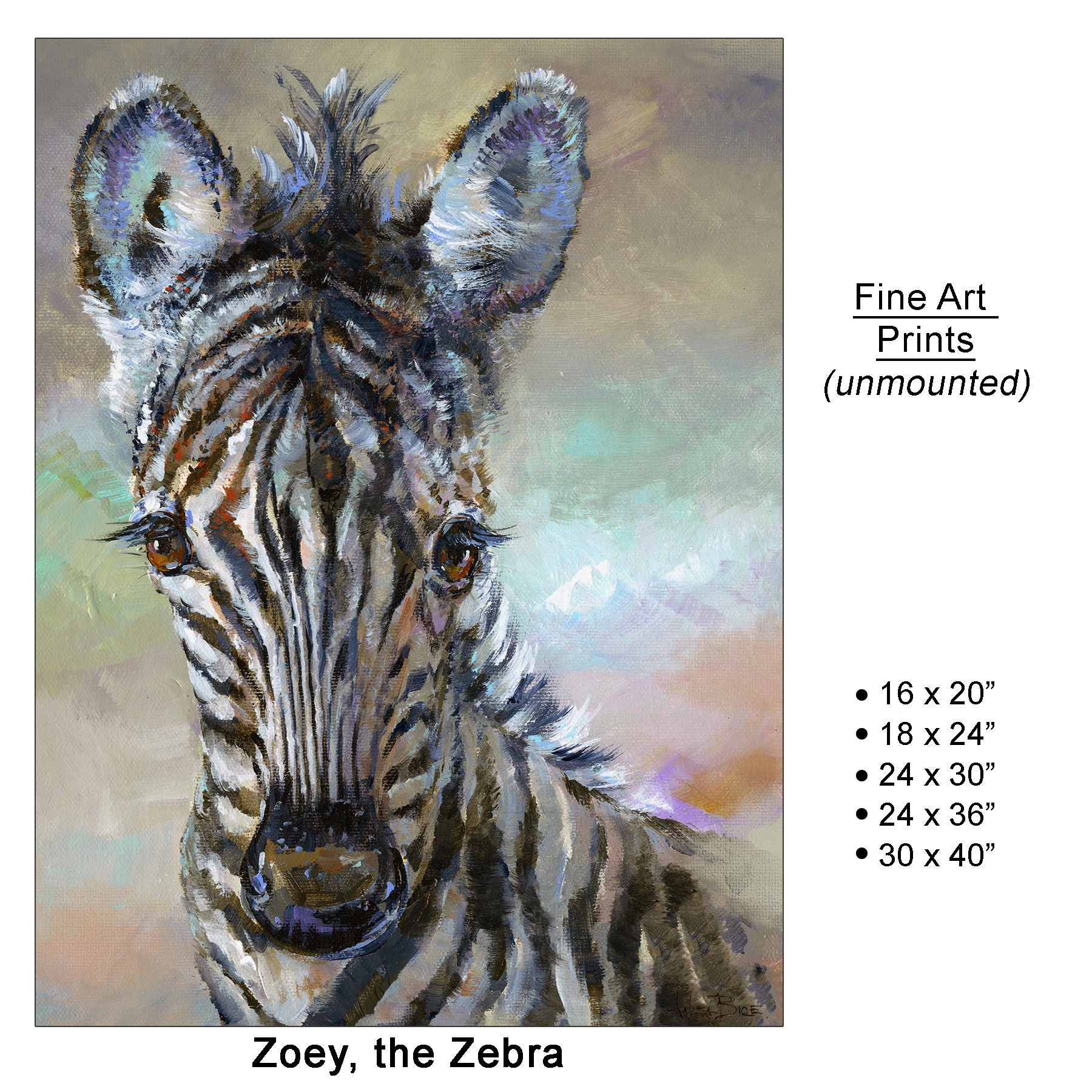 Zoey, the Zebra - Large Fine Art Prints