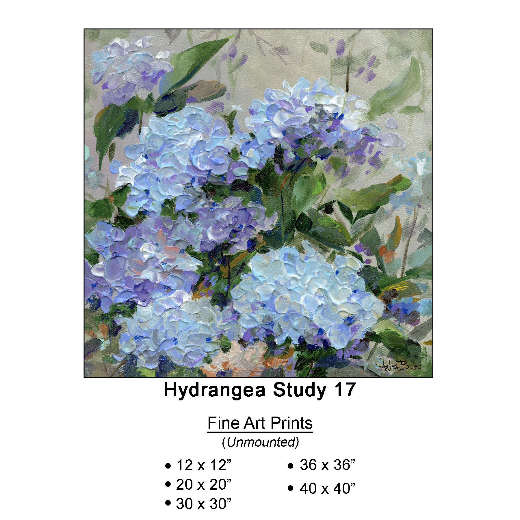 Hydrangea Study 17__Large Fine Art Prints