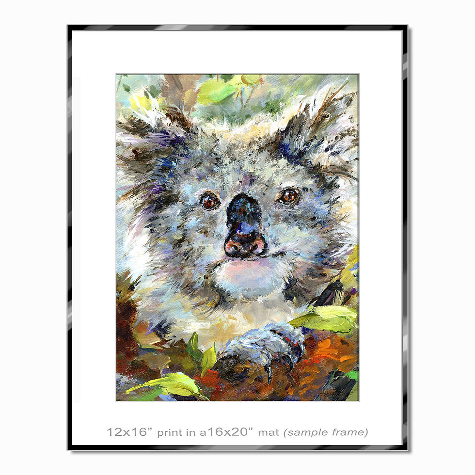Thumbnail: Kora, the Koala- small prints"