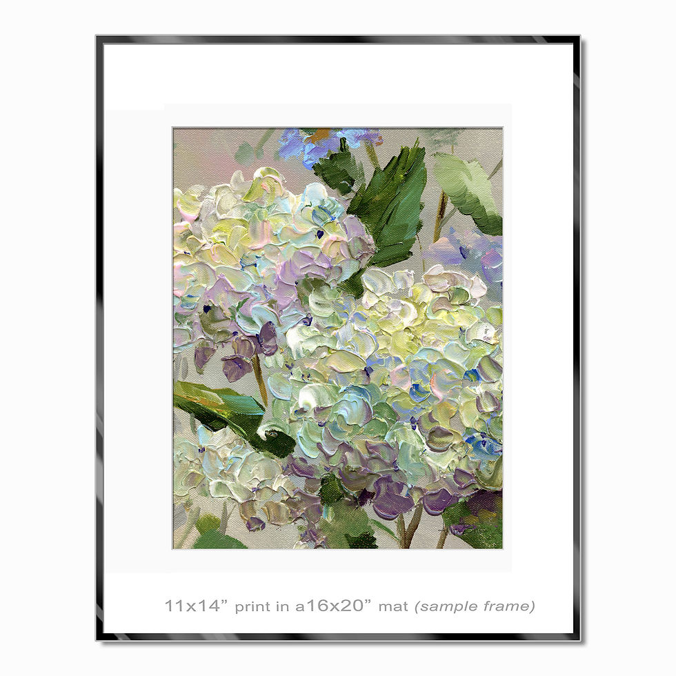 Thumbnail: "Hydrangea Study - 11 - small prints"