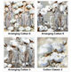Cotton1 Coasters.jpg