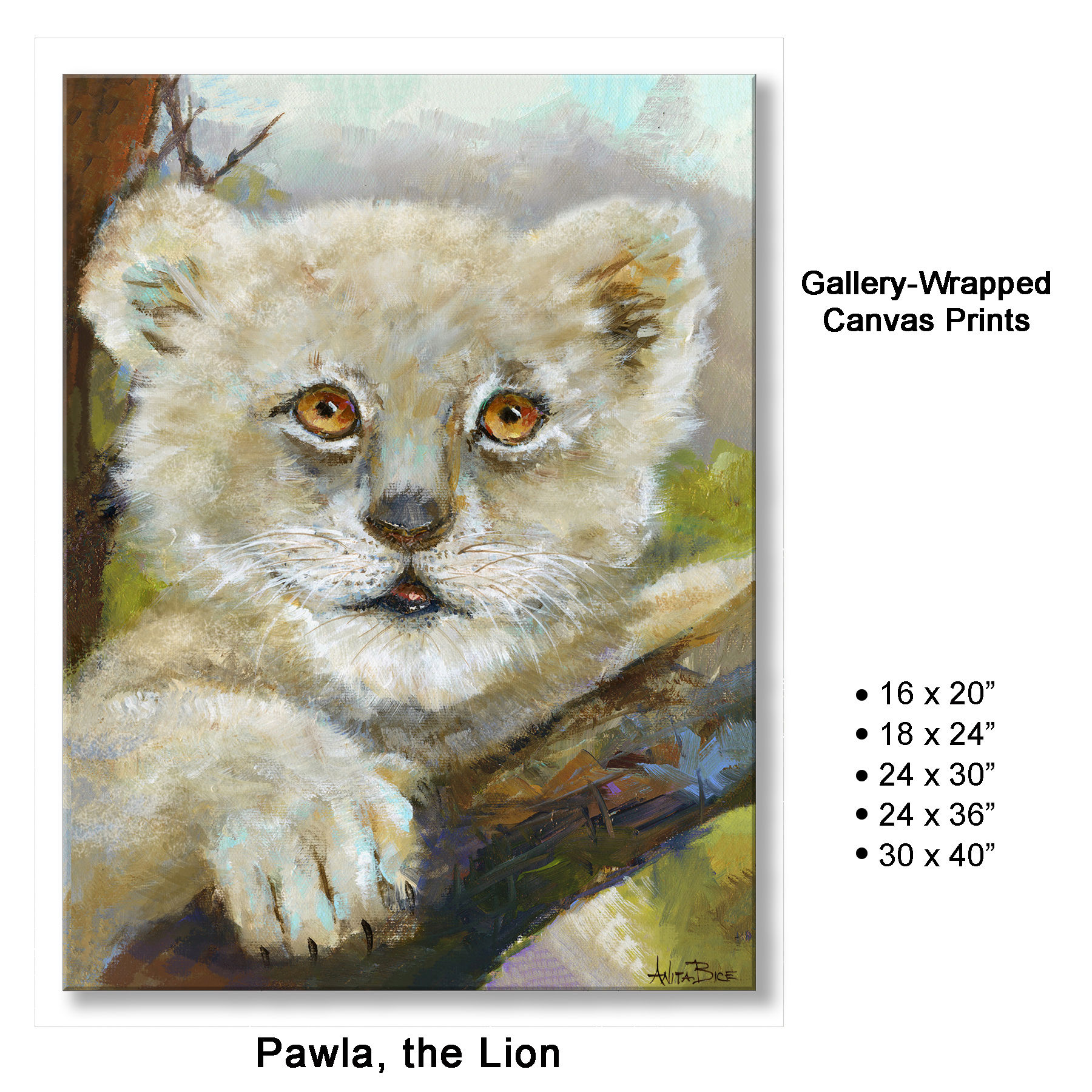 Pawla the Lion - Gallery-Wrapped Canvas Prints
