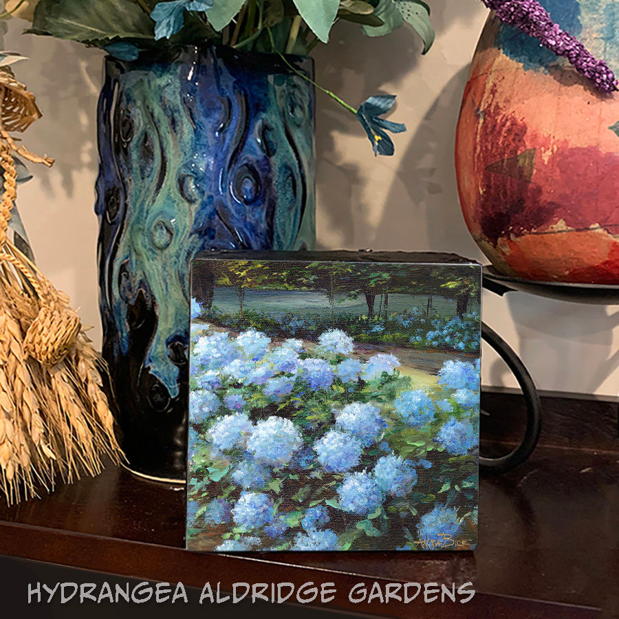 Thumbnail: "Hydrangeas Aldridge Gardens"