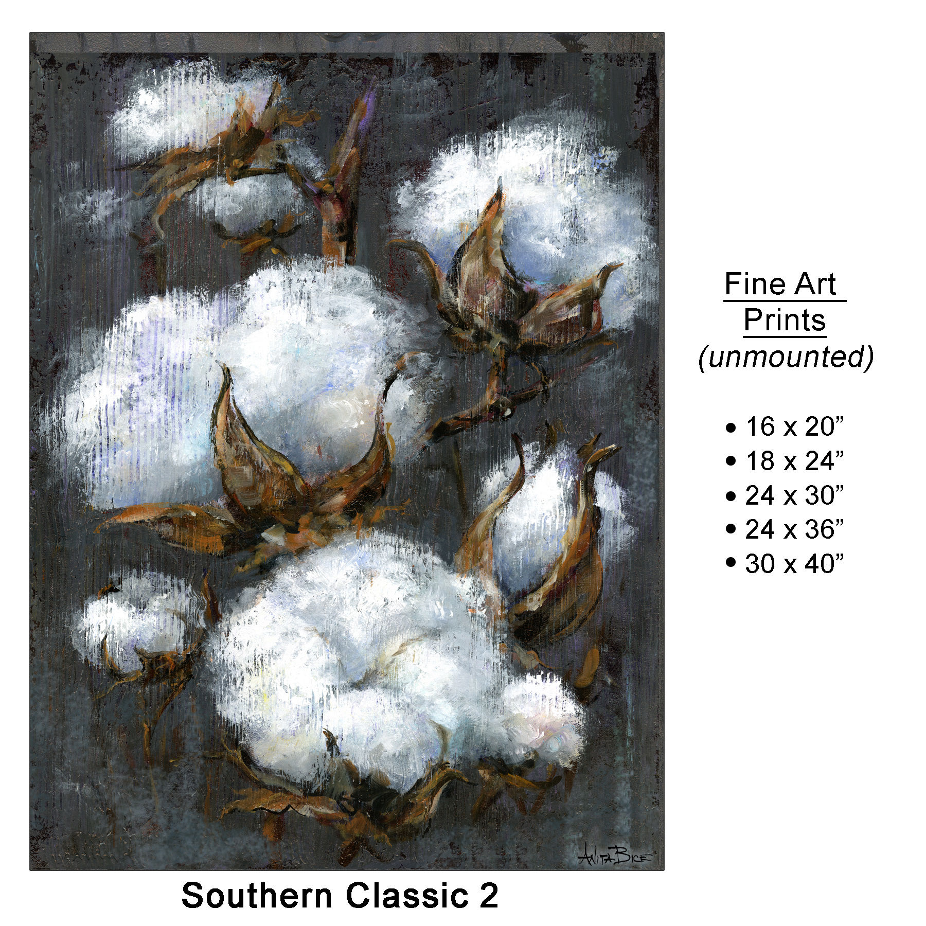 Southern Classic 2__Fine Art Print