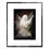 Thumbnail: "Angel of Light - small prints"
