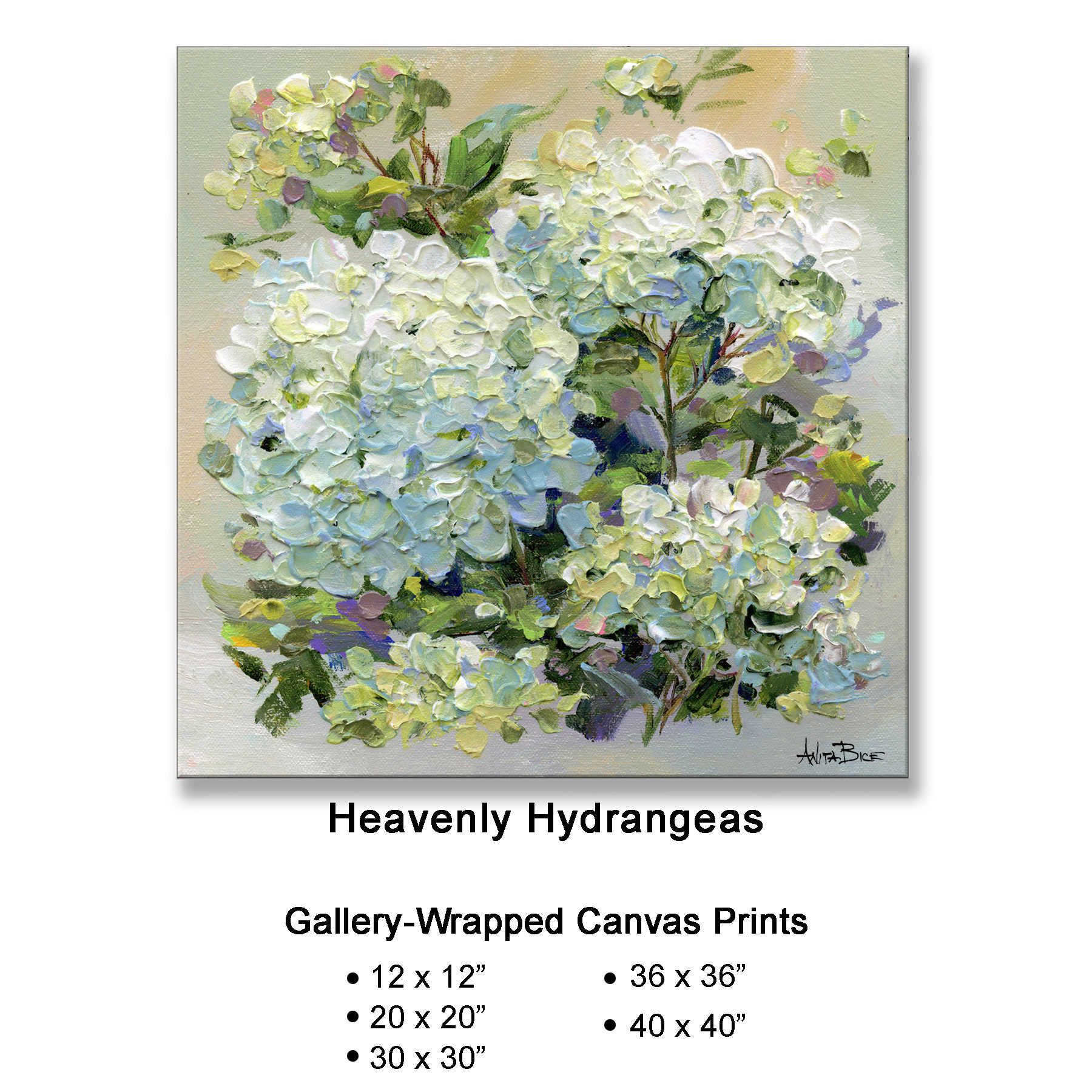 Heavenly Hydrangeas - Gallery Wrapped Canvas Prints