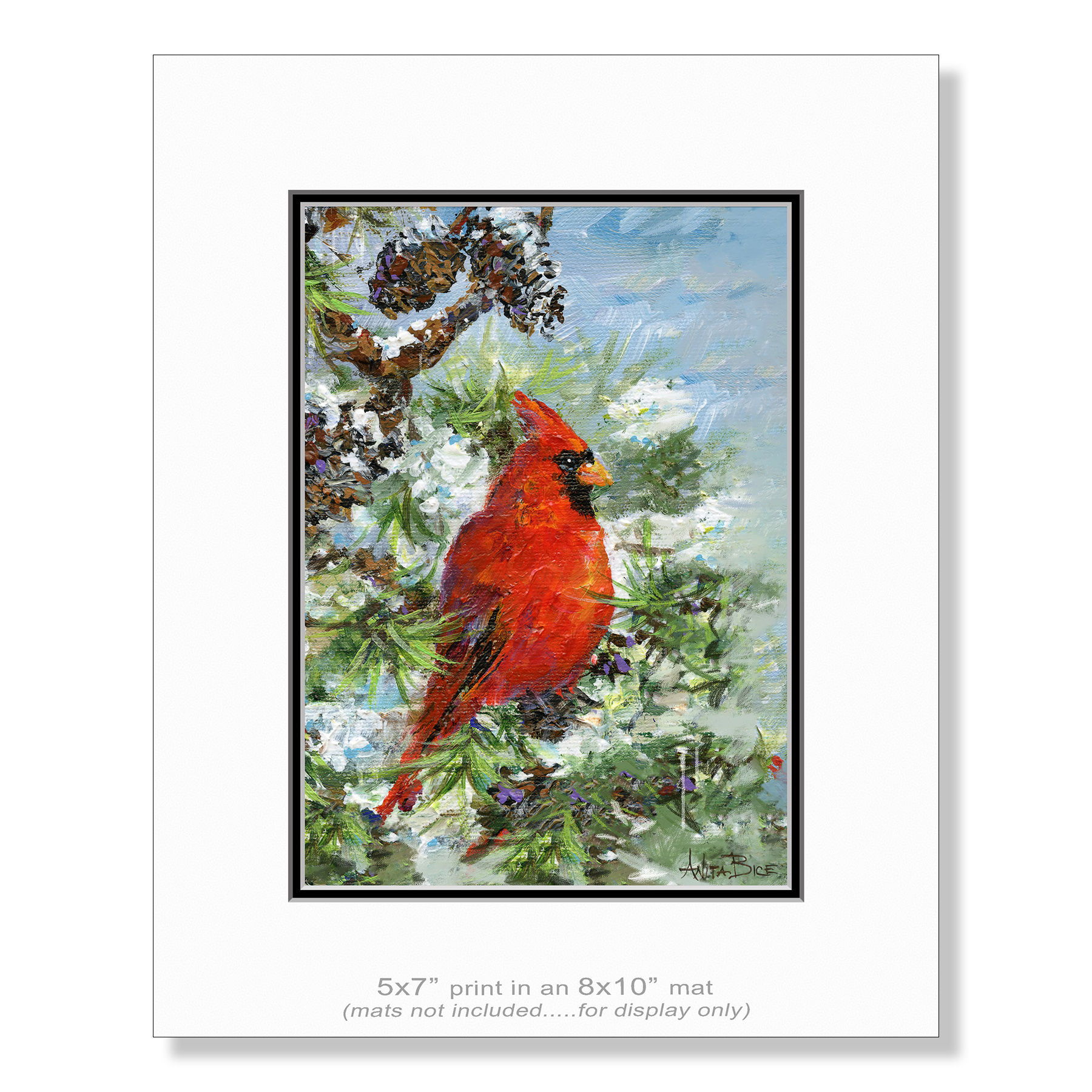 "Winter Visitor - print"