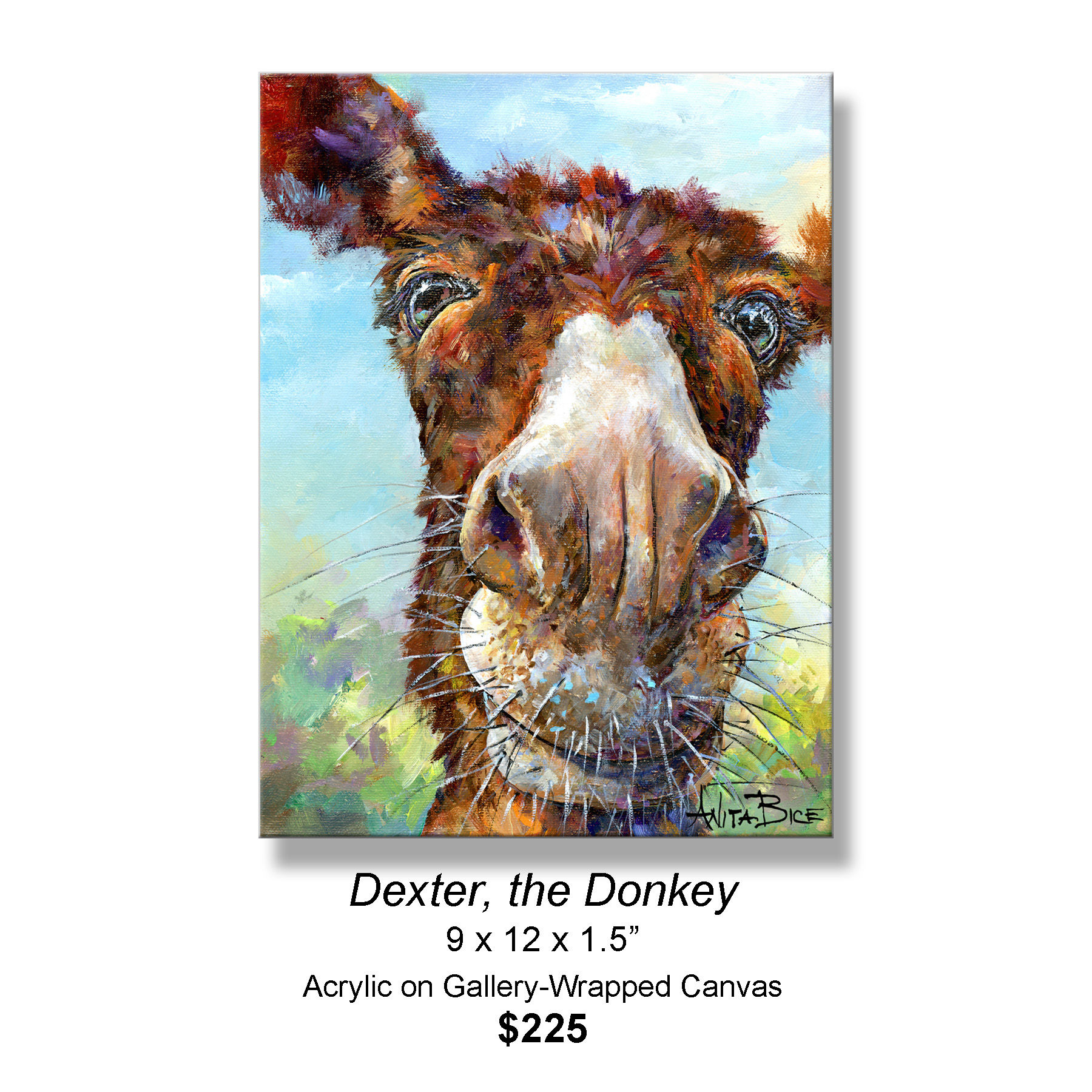 "Dexter, the Donkey"