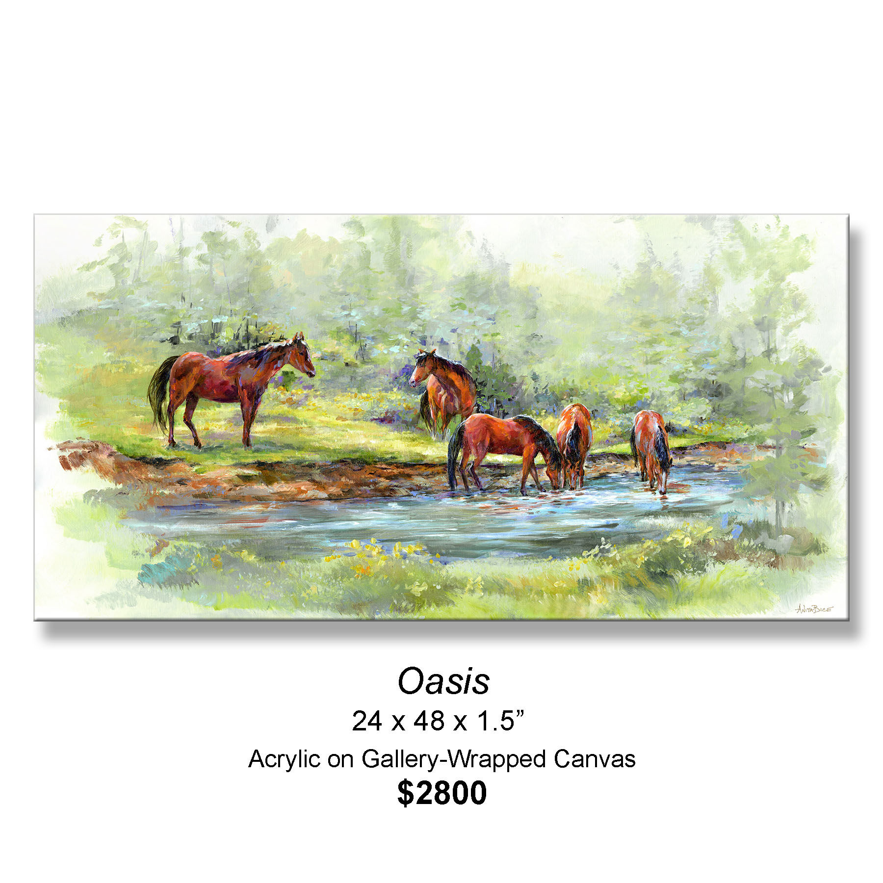 "Oasis"