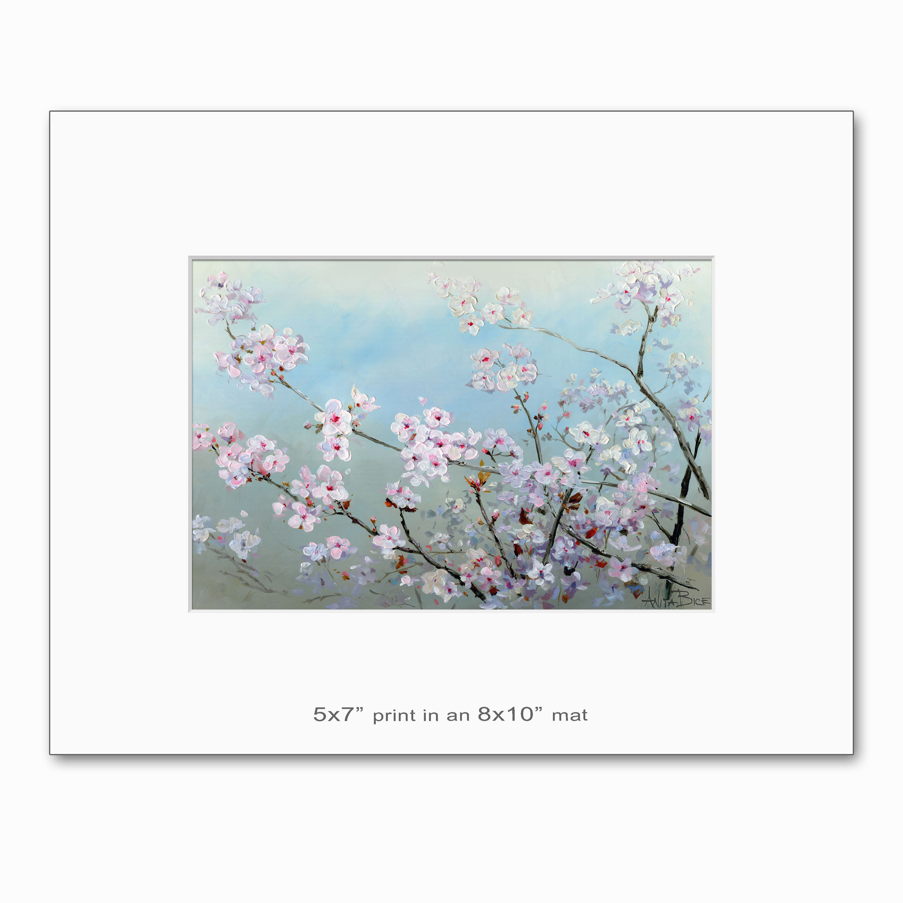 "Cherry Blossoms - small prints"