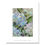 Thumbnail: "Hydrangea Study - 8 - small prints"