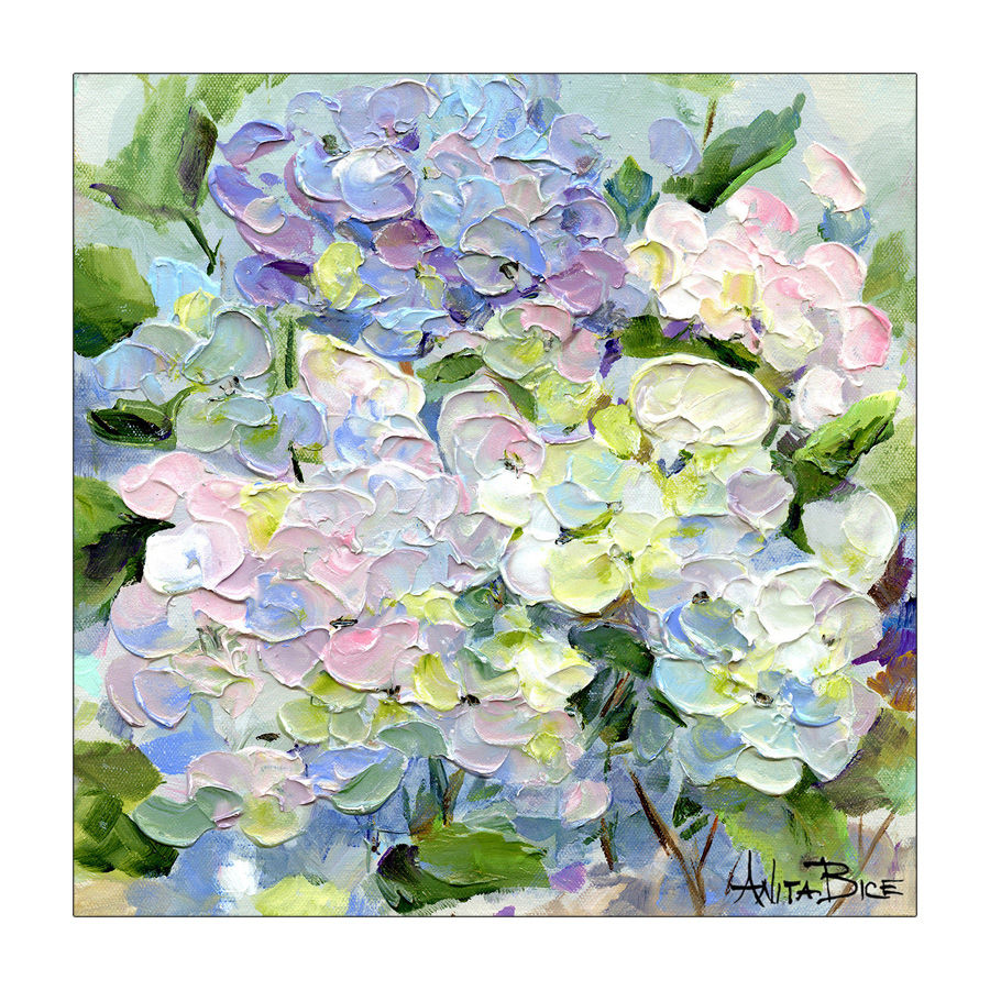 "Hydrangea Study - 20"
