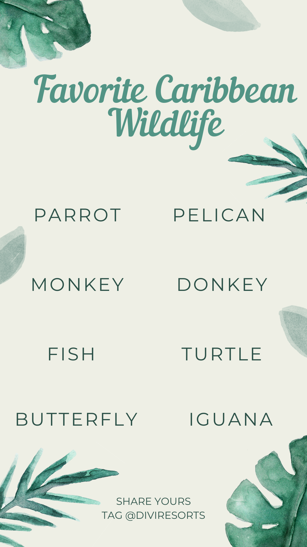 Favorite Caribbean Wildlife