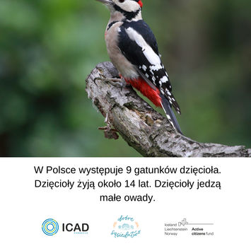 6 Julia Kolodziejska.jpg