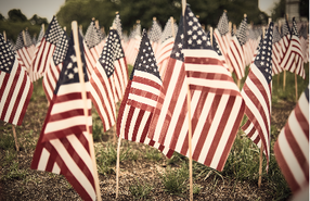 American flags.png