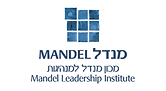 מכון מנדל