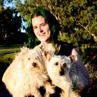 Paws in the Park, Perth's Pack Dog Walking Specialists