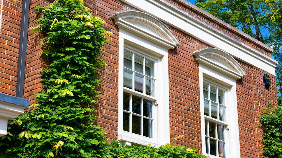 Brick house facade with white-trimmed windows, lush green ivy climbing the wall, and a small STANLEY sign in bright sunlight.