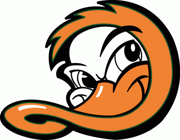 625_long_island-ducks-cap-2000.gif