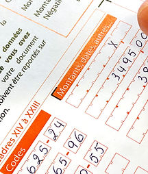 Image decl fiscale fiscalis mike.jpg