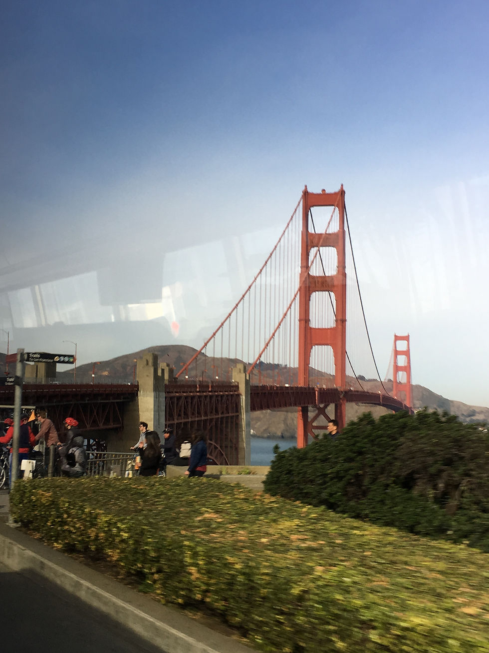 views from the airporter, complete with that unavoidable glare